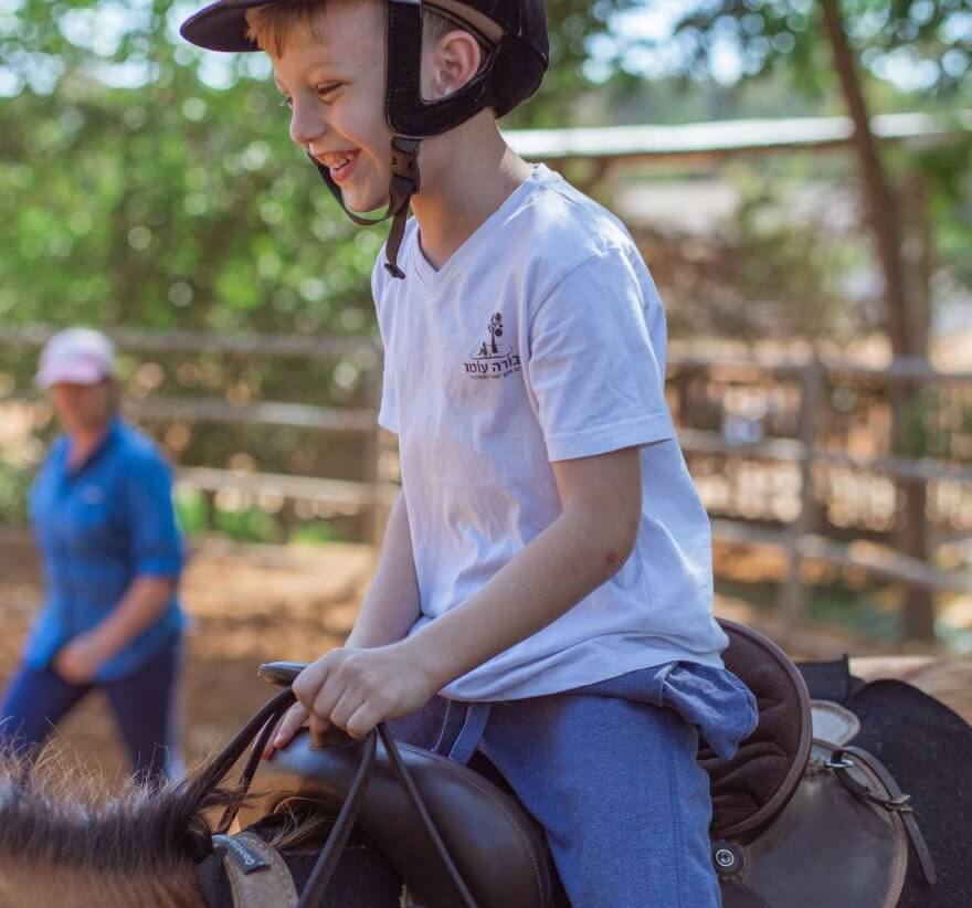 טיפול רגשי עם סוסים